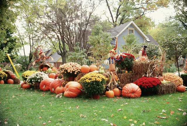 7 件の「ハロウィン飾り」のアイデアを今すぐ保存ハロウィン 飾り、ハロウィン 庭、飾り など