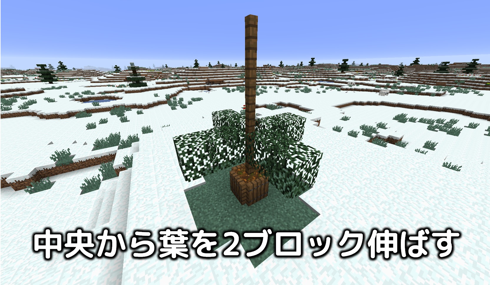 マインクラフトで『クリスマスツリー』を作ってみよう - 窓の杜