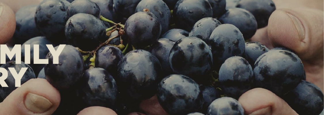 サンタ スザンナ教会 クチコミ・アクセス・営業時間ローマ フォートラベル