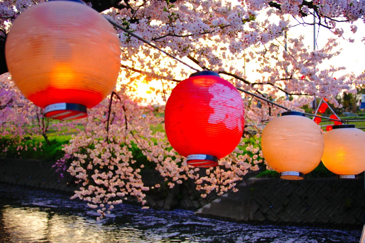 渋三さくら祭」と「渋谷桜丘桜まつり」を開催まちびらき 2024SHIBUYA +FUN PROJECT渋谷駅前エリアマネジメント協議会一般社団法人渋谷駅前エリアマネジメント