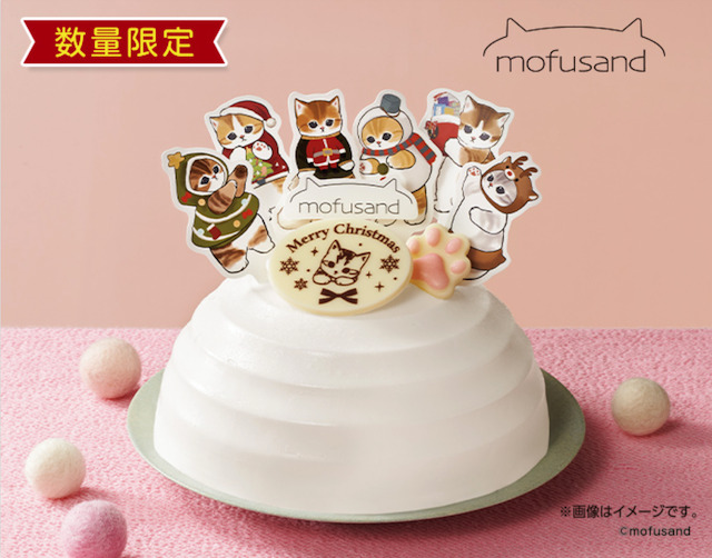 クリスマスケーキと猫の写真・画像素材-Snapmart スナップマート