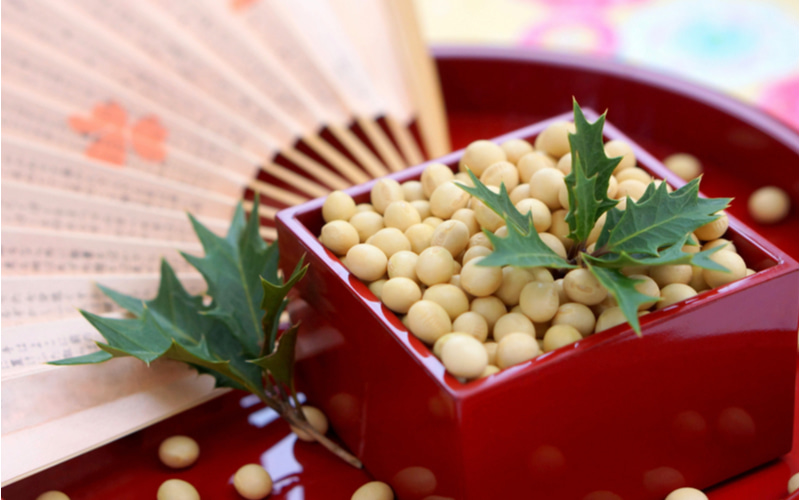 節分って年に4回もあるって知っていますか？豆まきと「柊鰯」の由来LOVEGREEN ラブグリーン