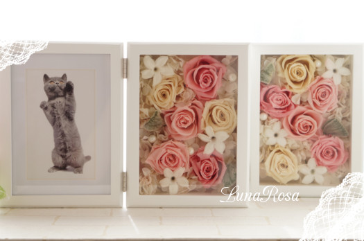 2024年最新 おしゃれ！安い！表参道など東京で買えるおすすめ花屋13選❤︎ドライフラワーも！ - トレンドお届けメディア Trepo トレポ