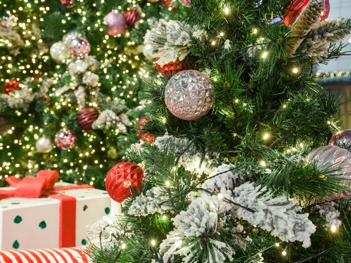 韓国・ソウルの「映える」クリスマス・イルミネーション、今年の様子は？ 明洞エリア地球の歩き方ウェブマガジンダイヤモンド・オンライン