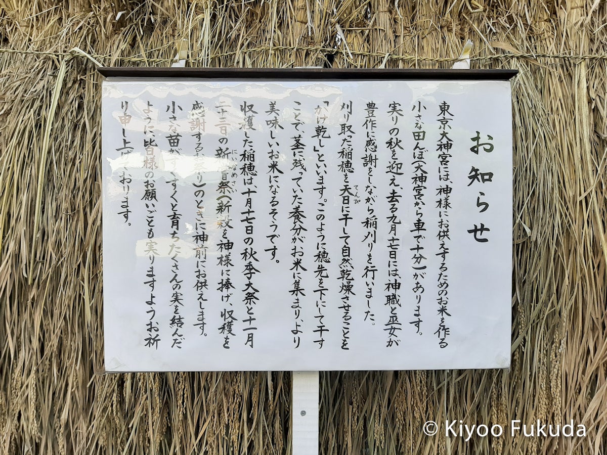 おみくじは何度も引いていい？初詣前に知っておきたい神社の参拝作法 季節・暮らしの話題 2021年12月30日- 日本気象協会 tenki.jp