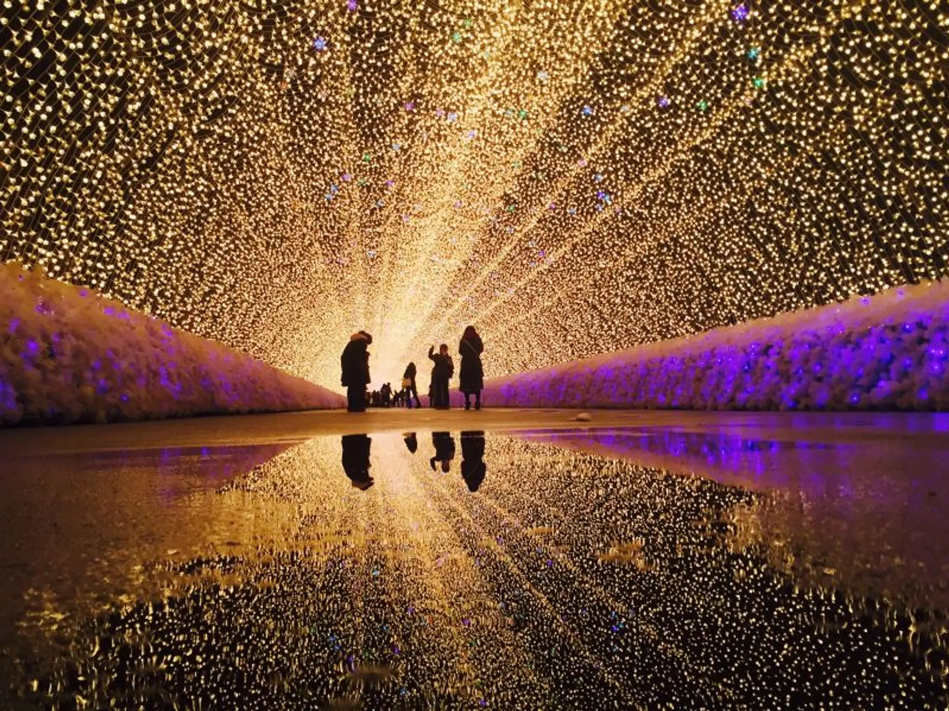 見所満載！なばなの里イルミネーション2024完全攻略 🗻✨今年のテーマは明峰富士🤍🫧💫Trip.com 桑名