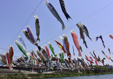 2025年5月11日まで ゴールデンウィークに大きな鯉のぼりを見るなら神奈川県立茅ケ崎里山公園へ 鯉のぼり掲揚を実施中 – 神奈川・東京多摩のご近所情報– レアリア