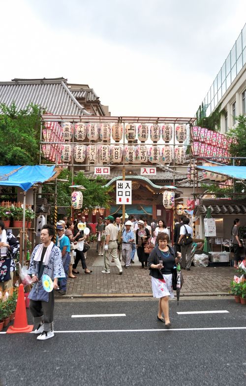 入谷 朝顔まつり30年7月6日～8日– 上野浅草ガイドネット探検隊