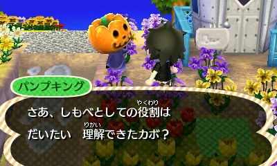 ハッピーハロウィン！今年のねこ仮装。しまねこぐぐ vol.33ねこのきもちWEB MAGAZINE