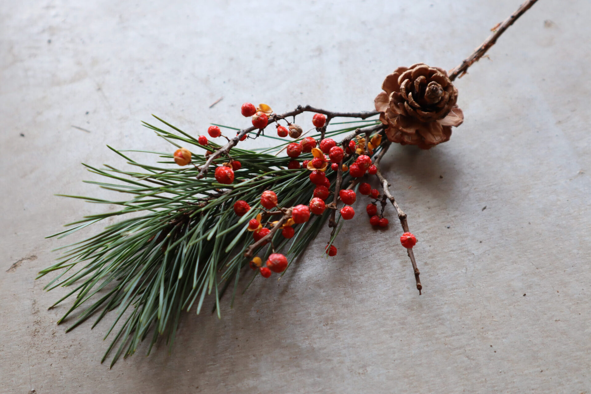 お正月飾りの花の赤い実の正体についてご説明します季節つれづれブログ