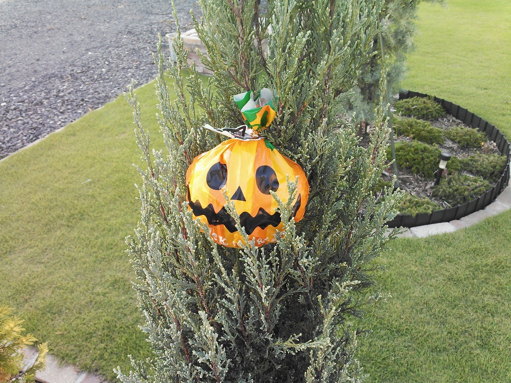 庭にあったらビックリしてしまうハロウィンのデコレーション - GIGAZINE