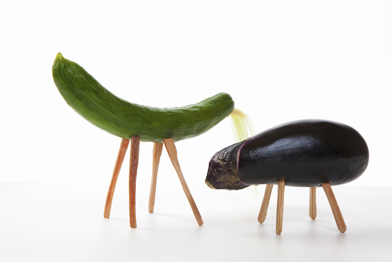 お盆にナスとキュウリを飾るのはなぜ？精霊馬の作り方・処分方法を解説！ - 葬儀・家族葬・お葬式なら「花葬儀」