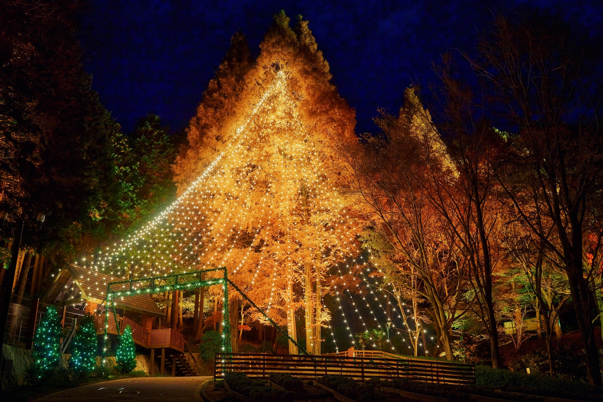 人気商品 PUAIDA クリスマス 飾り 屋外 クリスマスツリー ライト クリスマス イルミネーション 屋外 防水 常時点灯モード