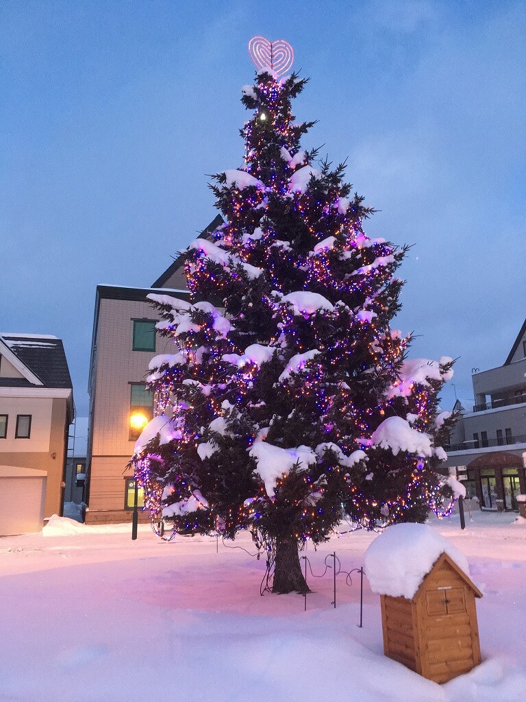 クリスマスツリーの木 北海道 こころから