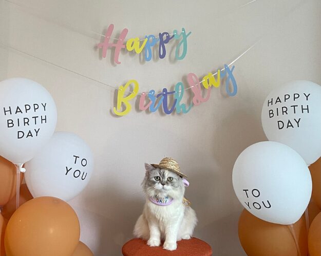 100均のHappy Birthday風船・バルーン商品一覧。お誕生日会用 ダイソーとセリアで100円