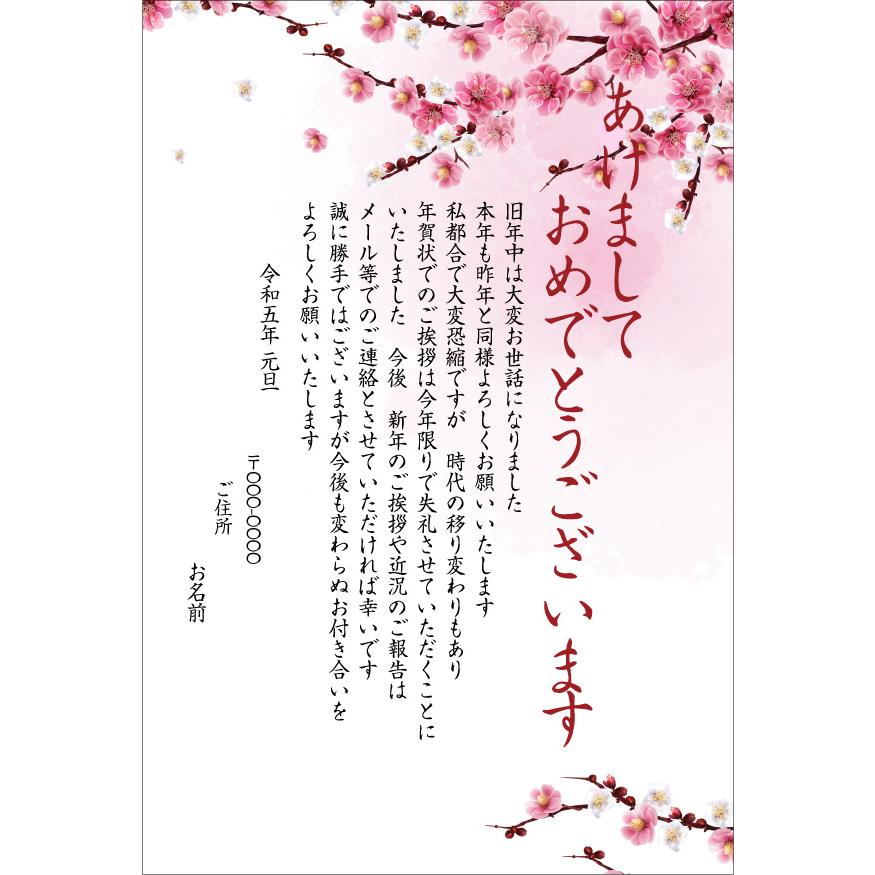 楽天市場あなたのあいさつ文を入れて1枚から印刷OK 終活年賀状 終活 オリジナル 最後の年賀状 デザインカード 年賀はがき 最後の挨拶 終い挨拶年賀状じまい 年賀状辞退 差出人印刷有 2023年 令和五年 : 写真deメッセージカードショップ
