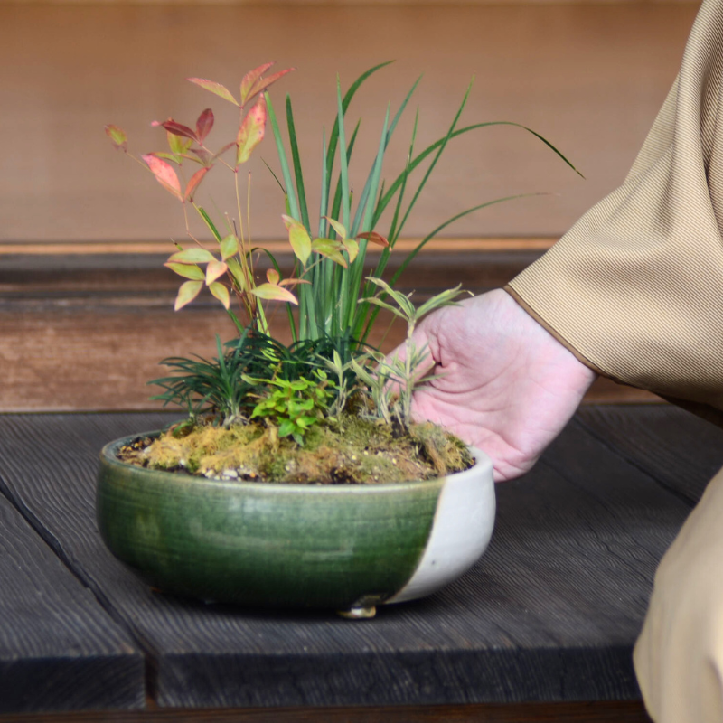 お歳暮＞盆栽用鉢 Syunbun無為 MUI 郵便局のネットショップ