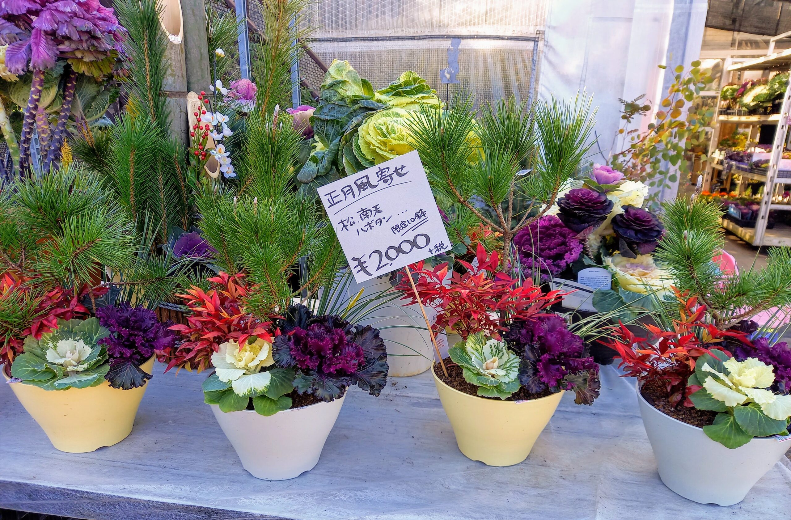 玄関向き お正月寄せ植えお花と緑のお店 みやざき 宮﨑園芸店