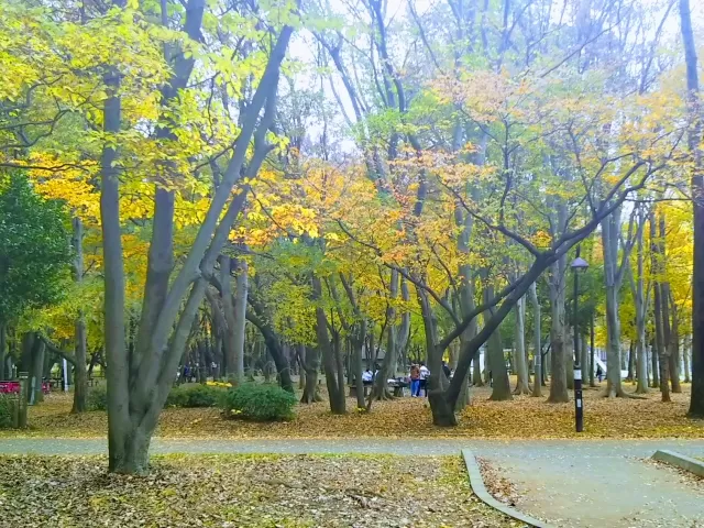 2024東京 手持ち花火OK！花火ができる都内 23区 の公園13選NAVITIME Travel