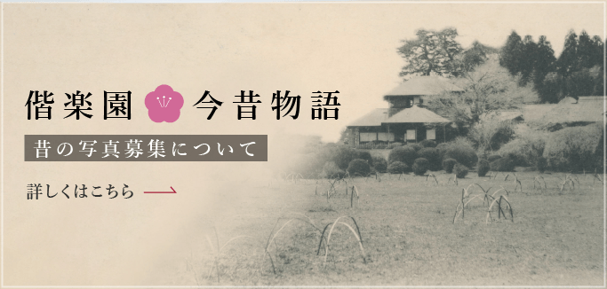 偕楽園 UME The Lights180年以上の歴史を持つ偕楽園には、創設者である徳川斉昭公により込められた「陰と陽」の美しい世界観が宿っています。この特別なテーマを、夜ならではの形で体感できるライトアップイベントを初開催します✨ また、梅を使用したメニューや