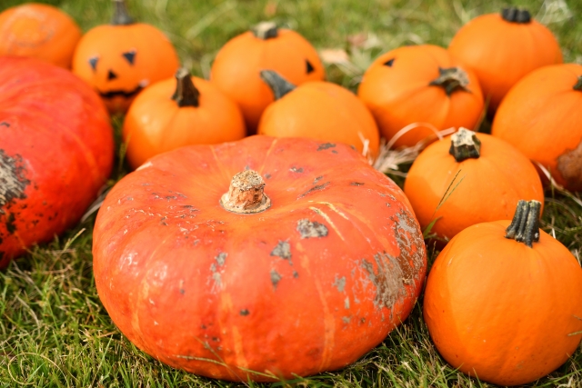 ハロウィンのかぼちゃランプ！ジャックオランタンの簡単な作り方カゴメ株式会社