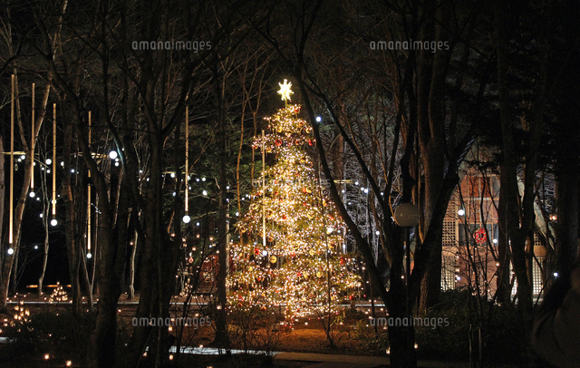 軽井沢高原教会で「星降る森のクリスマス」 プリズムツリーや屋外ゴスペルも - 軽井沢経済新聞