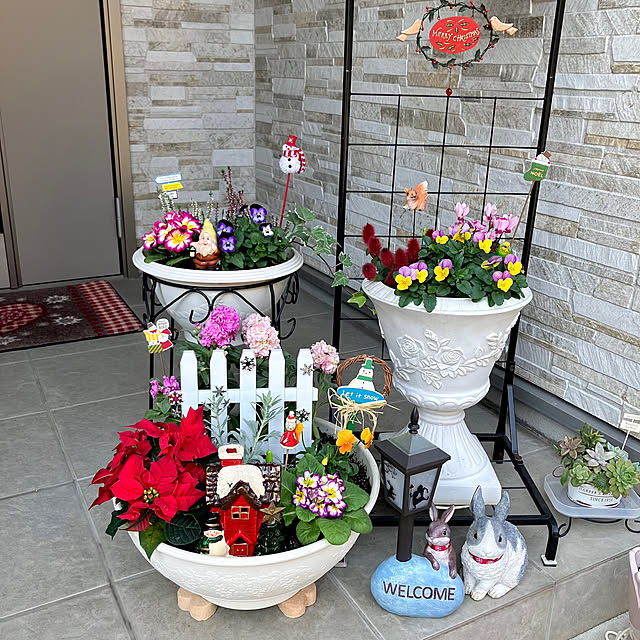 クリスマス大人色で寄せ植え♪♪』