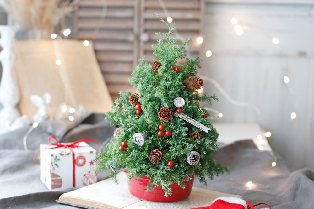 これは誰が見てもカワイイ！ボタニカルなミニクリスマスツリーの作り方不器用さんのハンドメイド