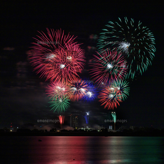 東海市制55周年祝う4000発の大輪 大池公園で花火大会：中日新聞Web
