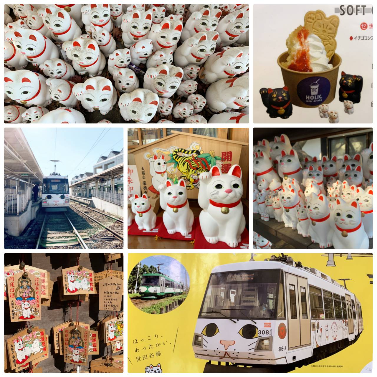 招き猫🐈の寺と松陰神社^ ^ 竿休め20230429- ふれーゆ裏たぬきのトリック仕掛釣り日記