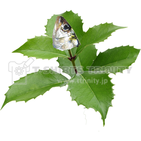 こっこ先生のあそびば