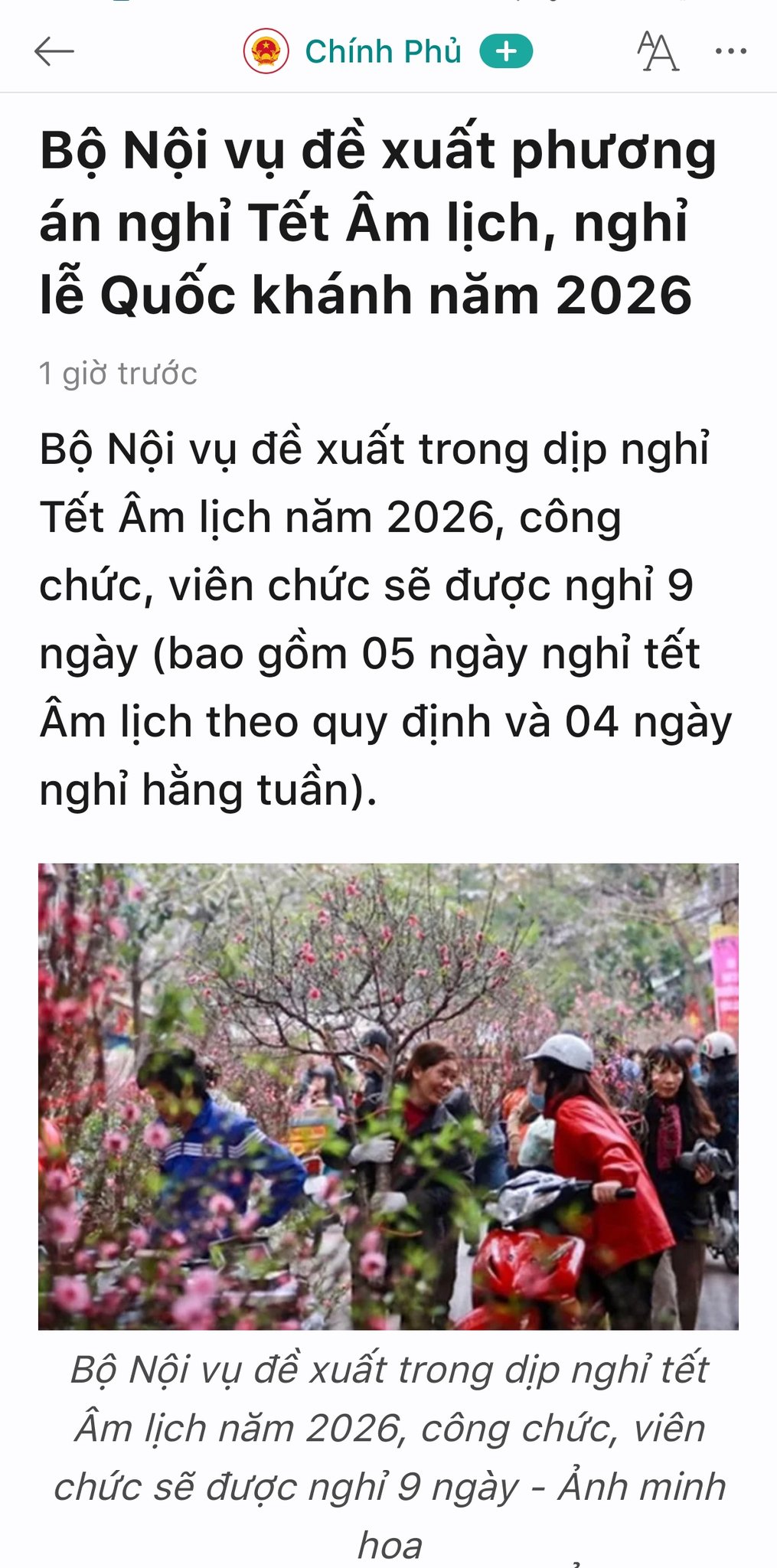 旧正月の旅行はどこへ行くべきで、どこが美しいですか？Vietjet Air