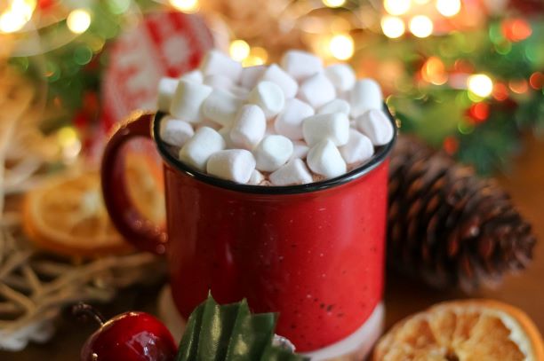 ファミリー・クリスマス・ヒッツコンピレーション 洋楽ソニーミュージックオフィシャルサイト