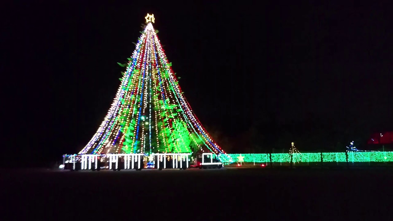 宮ヶ瀬 宮ヶ瀬湖畔園地・水の郷地域のクリスマスイルミネーション2020 - OZmall
