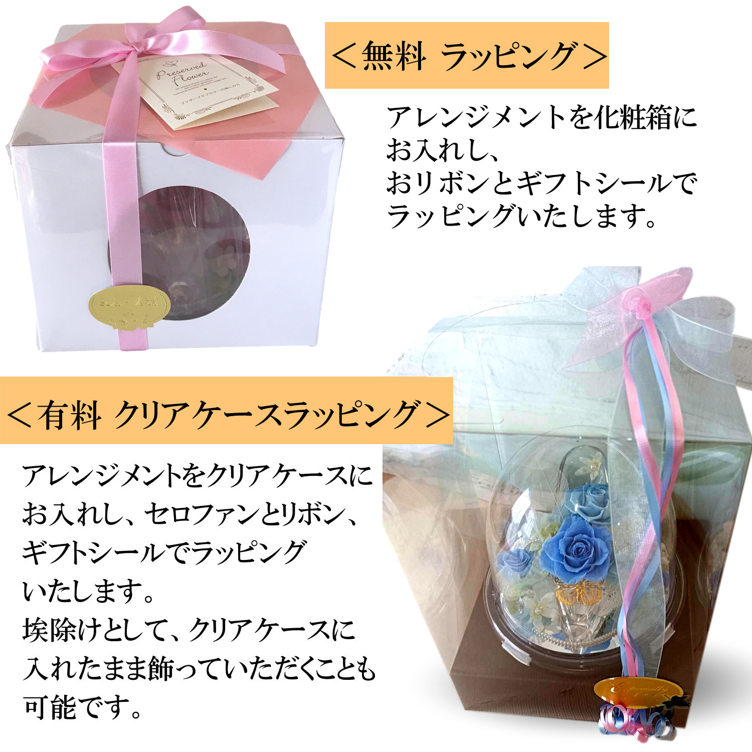 ☆れぃら☆はる＆てすたの母 on X: 