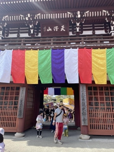 16畳敷きの大涅槃図、かんべの寝釈迦祭りと三重の仏像 ３日間ユーラシア旅行社