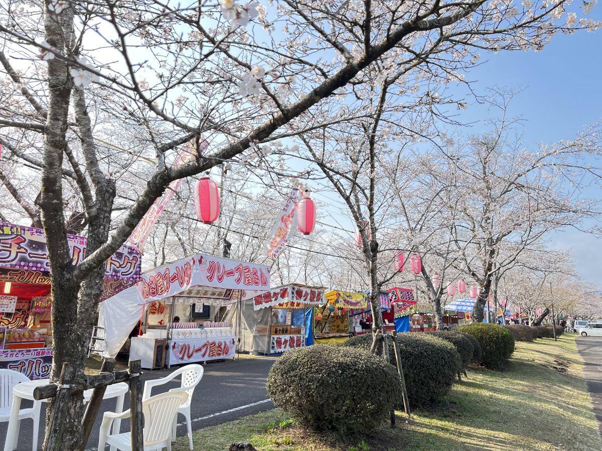 忠元公園の遊具４つ＆近くのベンチとテーブル忠元公園@鹿児島県伊佐市ファンサイト 日本さくら名所100選