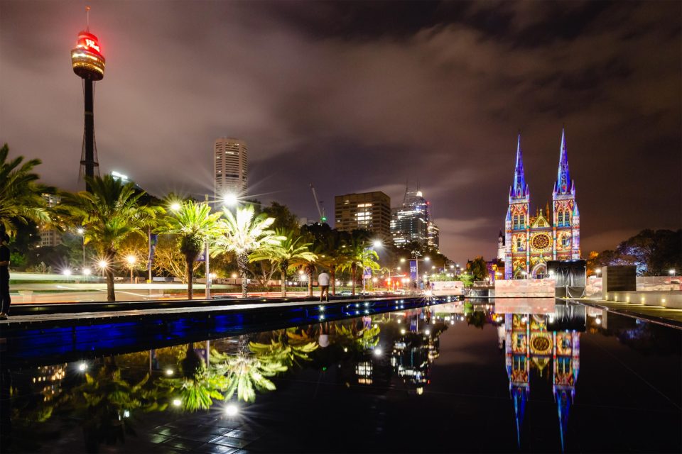 オーストラリアのクリスマス クリスマスツリーに登っちゃったコアラ サーフィンサンタ