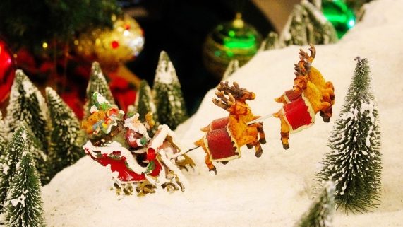 クリスマスは大忙し！サンタクロースの相棒トナカイってどんな動物？anicom you アニコムユー