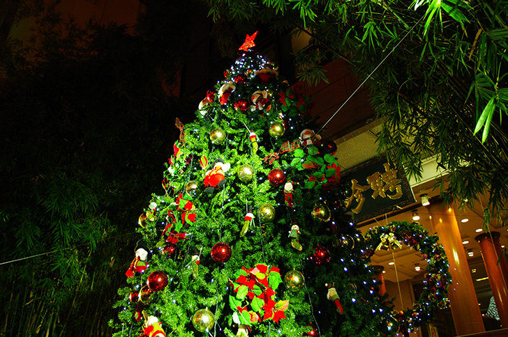 月のある夜のクリスマスツリー 背景PSD 無料ダウンロード - Pikbest