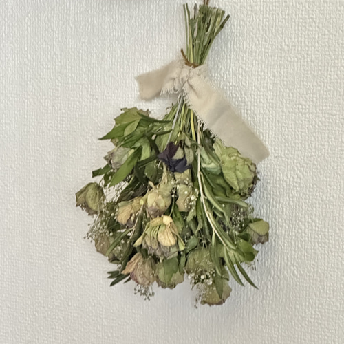 ドライフラワーを作ろう！！ ムラタナーセリーのクリスマスローズ８ムラタナーセリーの気まぐれ日記 - 楽天ブログ