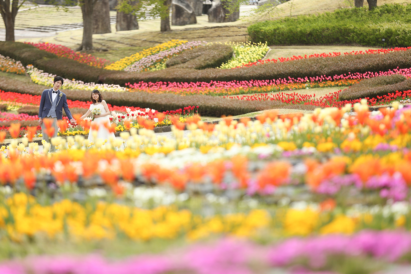 春待ち！花畑フォト♪ – フォトウェディング・結婚記念写真・前撮り撮影ならクレールブライダルスタジオ