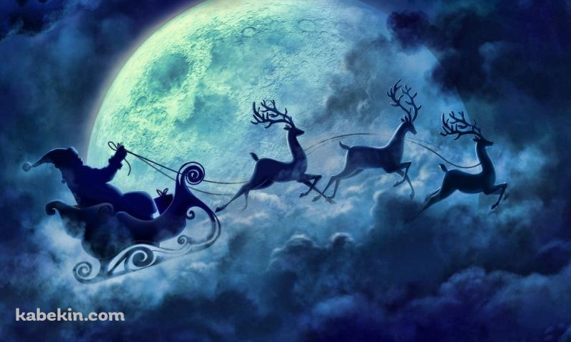 フィンランドにある「サンタクロース村」でトナカイのソリをレポート