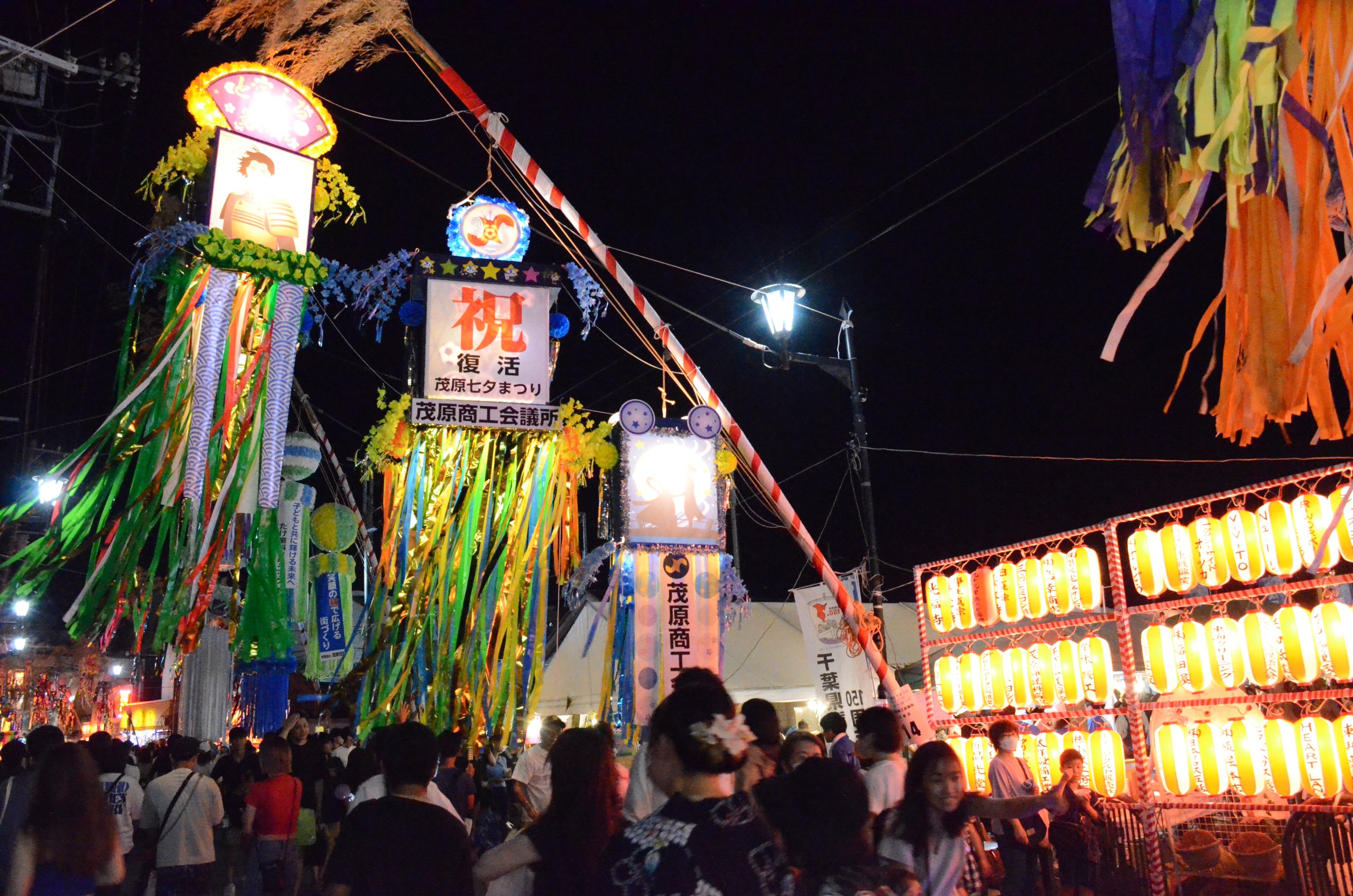 茂原公園の桜満開 ライトアップされた桜を8K映像で！屋台出店で楽しいひととき - Bit-Watts