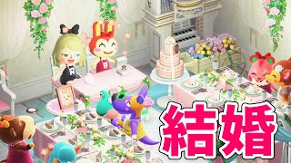 はじめてのどうぶつの森 あつ森プレイ日記98 リサ＆カイゾー写真集 - ユキシロ日記