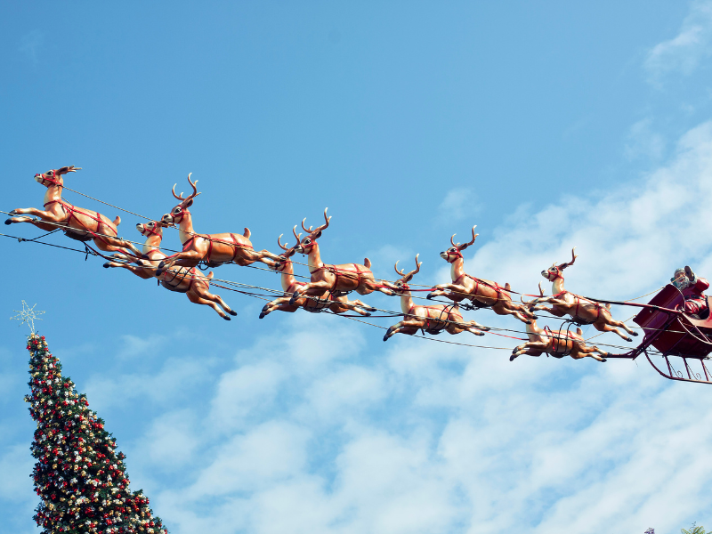 サンタのトナカイの名前は - 魚だって大空を飛びたい