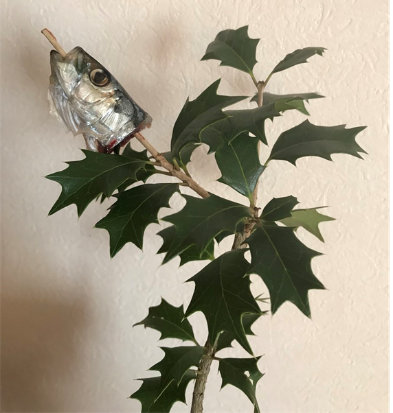 節分あれこれうつくしいくらしかた研究所