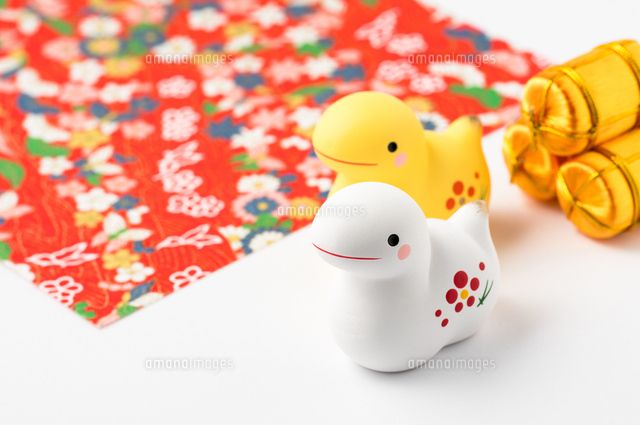 干支 巳年・蛇 ・かっこいい イラスト年賀状デザインKJN-006NTカメラのキタムラ年賀状