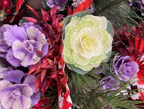 葉牡丹」が門松やお正月のお花に使われる理由いけばな光風流 家元 内藤正風