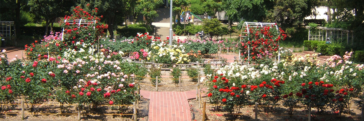 4月12日 土 、尼崎市武庫之荘の大井戸公園で開かれる「いただきマルシェ」に出店しますスタジオ・ボウズ